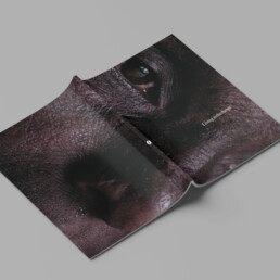 Couverture de Living in the fringe - Gilles Saussier - Ultradesign