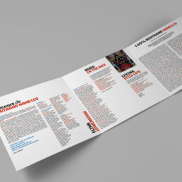 dossier de presse bertrand mandico malavida - ultradesign
