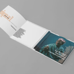 dvd le soldat inconnu - ultradesign