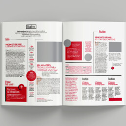 Grille typographique infos magazine - ultradesign